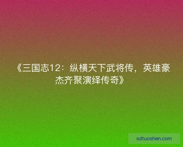 《三国志12：纵横天下武将传，英雄豪杰齐聚演绎传奇》