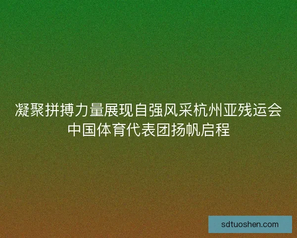 凝聚拼搏力量展现自强风采杭州亚残运会中国体育代表团扬帆启程