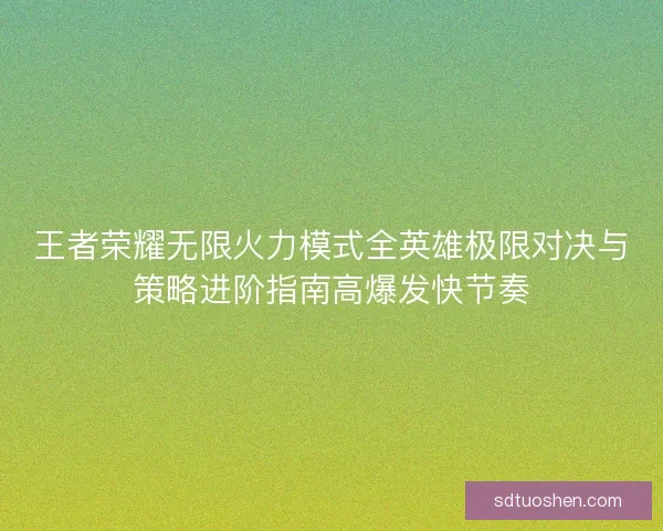 王者荣耀无限火力模式全英雄极限对决与策略进阶指南高爆发快节奏