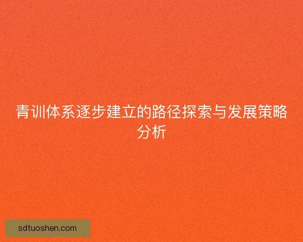 青训体系逐步建立的路径探索与发展策略分析
