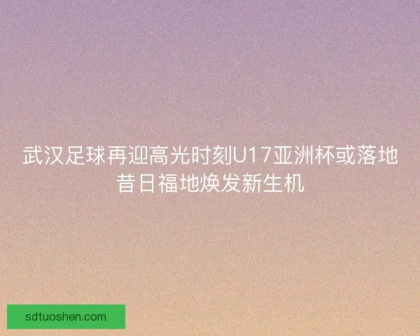 武汉足球再迎高光时刻U17亚洲杯或落地昔日福地焕发新生机